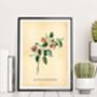 Vintage Style Botanical Burger Print, thumbnail 4 of 10