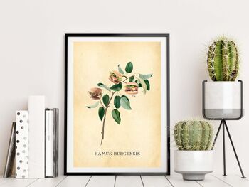 Vintage Style Botanical Burger Print, 4 of 10