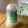 Forest Paper Craft 3D Kit, thumbnail 3 of 7