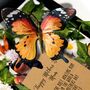 Luxury Scented Butterfly Mothers Day Card In Woodland, thumbnail 2 of 6