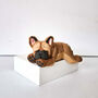 Sleeping French Bulldog Brown, thumbnail 5 of 11