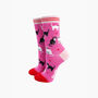 Cats In Love Bamboo Socks In Pink, thumbnail 1 of 4