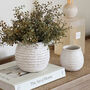 Dappled Ceramic Plant Pot, thumbnail 1 of 4