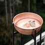 Handmade Solid Copper Bird Bath Bowl, 250 Mm Diameter, thumbnail 1 of 5