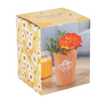 Terracotta Bee Motif Plant Pot, 3 of 3