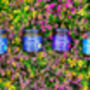Three Cornish Blue Flamingo Jar Preserves, thumbnail 3 of 12