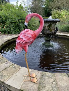 Metal Flamingo, 7 of 10