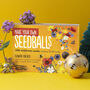 Seed Ball Making Activity Kit With Bee Friendly Wildflower Seeds, thumbnail 1 of 12