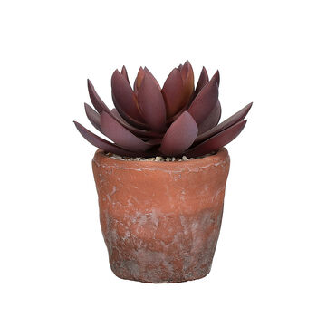 Artificial Succulent Plant In Pot, 4 of 6
