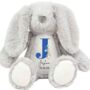 Personalised Bunny Rabbit Baby Boy Teddy, thumbnail 3 of 3