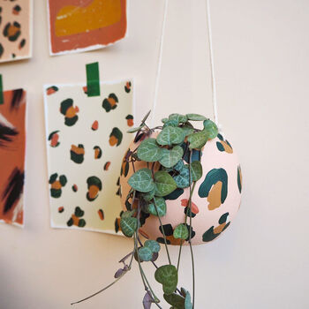 Leopard Print Round Hanging Plant Pots, 3 of 10