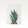 Pineapple Top Photographic Fruit Print, thumbnail 2 of 2