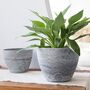 Pack Of Two Modern Planters Pots With Drainage Holes, thumbnail 9 of 12