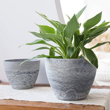 Pack Of Two Modern Planters Pots With Drainage Holes, 9 of 12