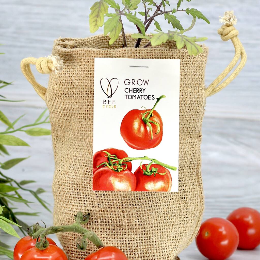 Cherry Tomato Jute Bag Grow Set, 1 of 6