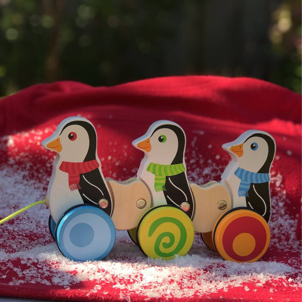 Image of Children's Wooden Pull Along Penguins