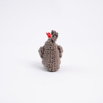 The Hen And Chick Beginner Crochet Kit, 8 of 12
