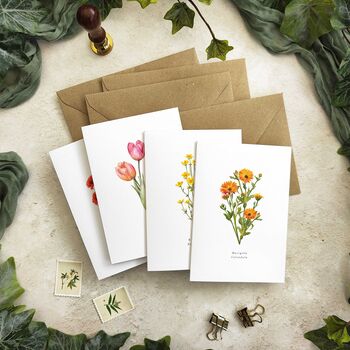 Set Of 10 Different Wildflower Notecards And Envelopes, 3 of 7