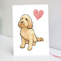 Apricot Cockapoo Valentines Day Card, thumbnail 1 of 10
