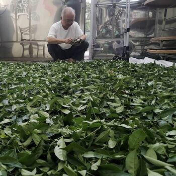 Night Heron Jin Xuan Loose Leaf Tea 50g, 3 of 8