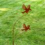 Two Flying Brids Double Garden Art, thumbnail 1 of 2