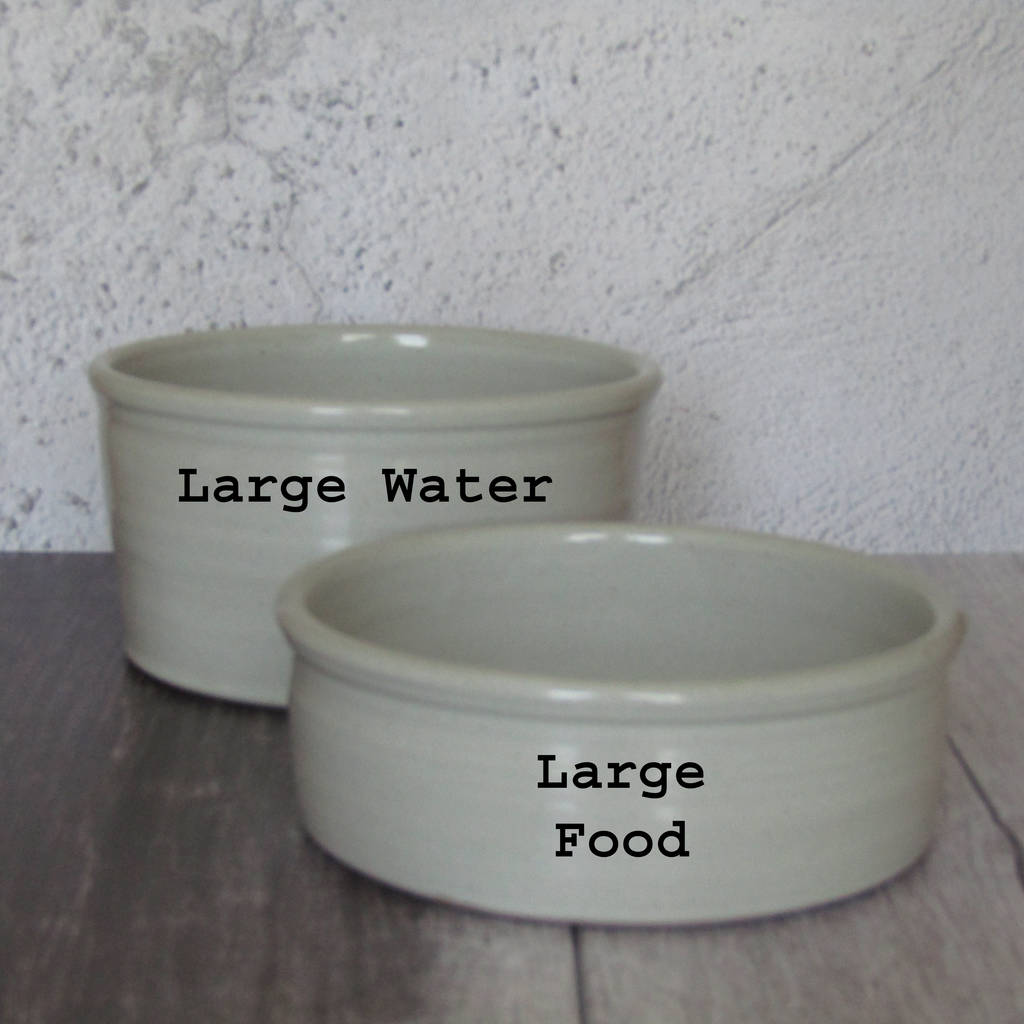 handmade pottery dog bowl by the dandy dog company