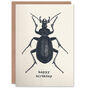 Vintage Style Beetle Illustration Creepy Crawly Birthday Card, thumbnail 1 of 4