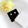 Monstera Stud Earrings, Plant Lover Gift, thumbnail 3 of 7