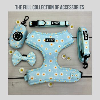 Floral Daisy And Polka Dot Dog Bow Tie, 5 of 5