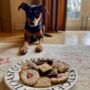 Plant Based Dog Teatime Biscuit Treats, thumbnail 1 of 7