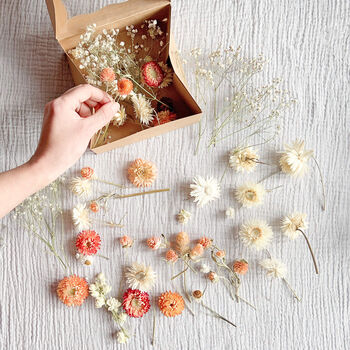 Coral And Cream Dried Flower Mix, 2 of 2