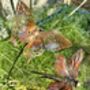 Set Of Two Copper Insect Garden Stakes – Butterfly And Dragonfly On Curved Poles, thumbnail 1 of 7
