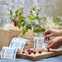 Personalised 50th Birthday Loganberry Plant Box, thumbnail 1 of 7