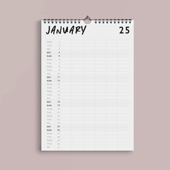 2025 Chaos Wall Calendar, 2 of 4