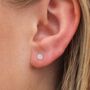 Sterling Silver Hammered Circle Stud Earrings, thumbnail 1 of 5