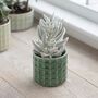 Sage And Green Textured Succulent Planters, thumbnail 1 of 2