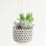 Hanging Geo Print Planter With Choices Of Succulents, thumbnail 1 of 3