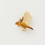 Fable Enamel Flying Robin Brooch, thumbnail 1 of 4