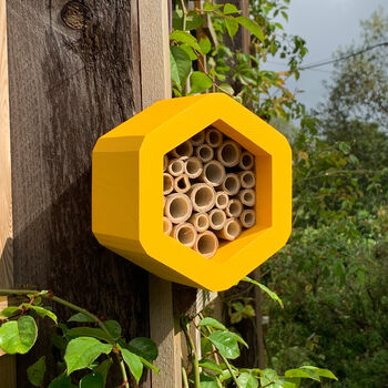 Mini Hexagon Bee House, 6 of 11