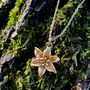 Lily Gold Flower Necklace, 14k Gold Plated, thumbnail 1 of 6
