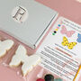 Paint Your Own Butterfly Biscuit Kit, thumbnail 2 of 2