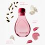 Rose Reed Diffuser 150ml, thumbnail 3 of 5