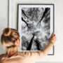 Black And White Trees Print, thumbnail 5 of 6