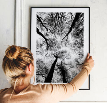 Black And White Trees Print, 5 of 6