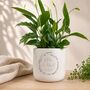 Personalised Wedding Gift For Couple | Indoor Pot Add Plant, thumbnail 1 of 6
