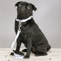 The Putney Blue Striped Dog Collar And Lead Set, thumbnail 5 of 5