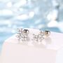 Sterling Silver Tiny Hydrangea Bouquet Cz Screw Back Earrings, thumbnail 1 of 12