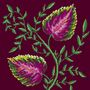 A Fine Vine, thumbnail 3 of 7