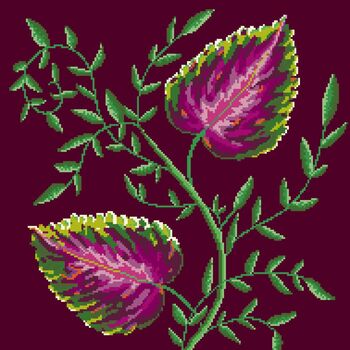 A Fine Vine, 3 of 7