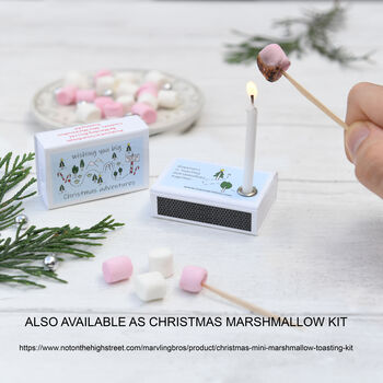 Mini Marshmallow Toasting Kit In A Matchbox, 9 of 10